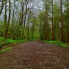 Greenery