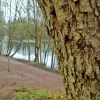 Pulling Focus