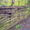 Fences