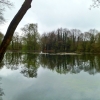 Spring Pool