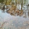 Reflections